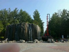 -合肥滨湖国家森林公园