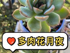 -于记沙布袋馄饨