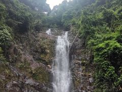 -鼎湖山风景区