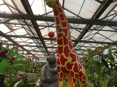 -南宫五洲植物乐园