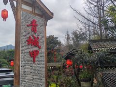 -青城甲(青城山店)