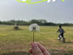 -阳澄湖半岛旅游度假区