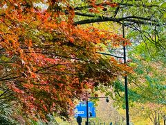 -阿里中心·杭州Z空间