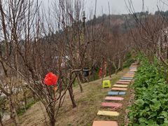 -桃源山庄·水蜜桃采摘·柴火鸡·烧烤团建(龙泉山店)
