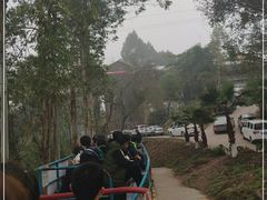 -美心红酒小镇游乐园