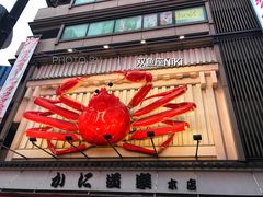 -蟹道乐(道顿堀本店)