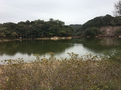 -广州市石门国家森林公园