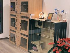-萌小它宠物健康管理中心(怡海家园店)