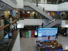 -上海市东方医院(总院)