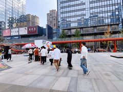 -合景·悠方(成都店)