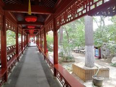 -大觉寺-停车场