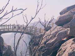 -崂山巨峰游览区