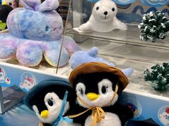 -海合安成都极地海洋公园