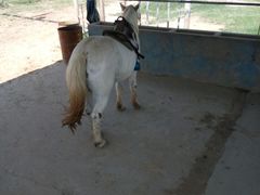 -南昌之星游乐场