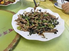 -荔枝红五号农庄