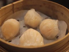 虾饺-添好运点心专门店(深水埗店)