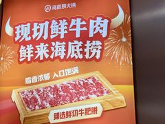 -海底捞火锅(公益西桥店)