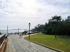 -燕儿岛山公园