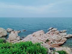 -养马岛旅游度假区
