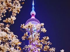 -东方明珠广播电视塔