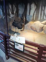 -酷嗒动物文化乐园(cutezoo西溪乐天城店)