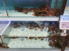 -盒马鲜生(红莲店)