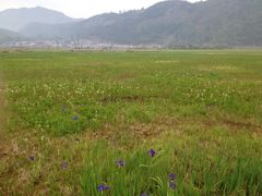 在船上照的-腾冲北海湿地