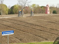 -同里国家湿地公园