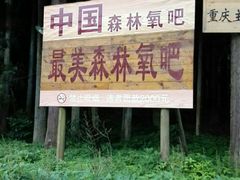 -武陵山森林公园