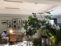 -一尺花园(安和花园店)