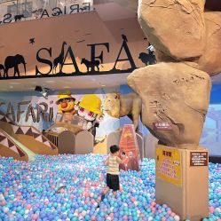 -卡通尼·Safari非洲探索乐园·生日会(金桥国际商业广场店)