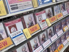 -秋叶原电器街