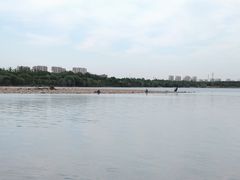 -永定河休闲森林公园