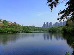 -重庆彩云湖湿地公园