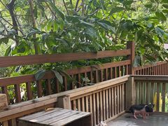 -熊猫自助餐厅.萌趣城堡(长隆熊猫酒店)