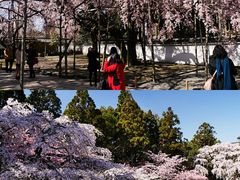 -醍醐寺