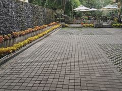 -老洋房花园饭店(绍兴路店)