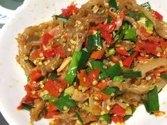 鸭掌筋-壹盏灯(惠农店)