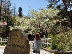 -神户市立六甲山牧场