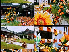 -唐御宴•御宴宫•唐代菜点(芙蓉西路店)