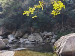 -鄣山大峡谷