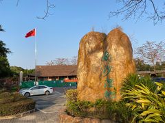 -大湾区中央湿地公园