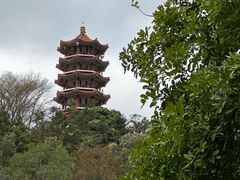 -深圳仙湖植物园