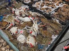 -半岛听涛蒸汽海鲜自助(K11店)