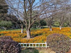 -玄武湖景区-情侣园游乐场