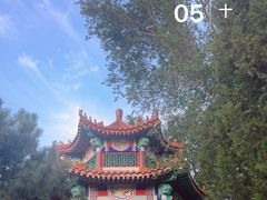 -滨河世纪广场公园