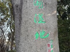 -溱湖国家湿地公园