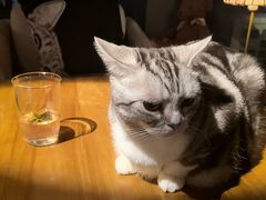 -咖法森林·咖啡  酒吧(天河店)