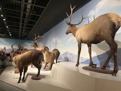 -陕西自然博物馆