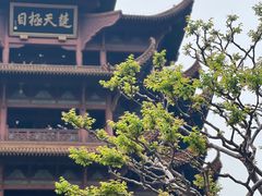 -黄鹤楼